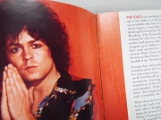 Mark Bolan and T Rex The Essential Collection 262 (6) (Copy)